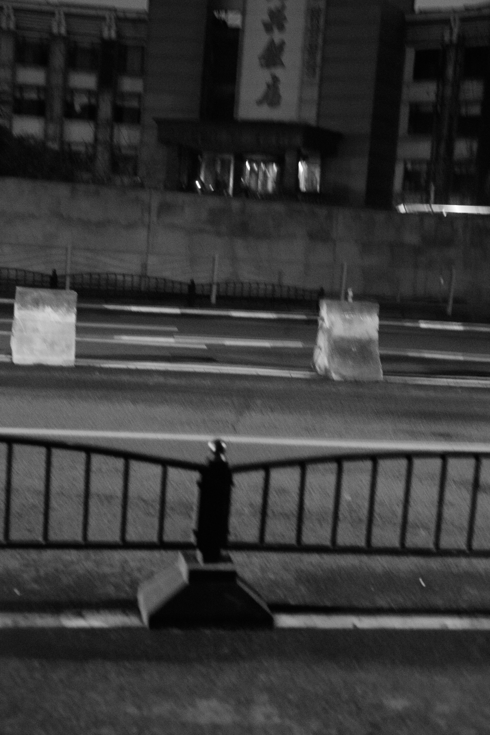 上海 2020 image 100